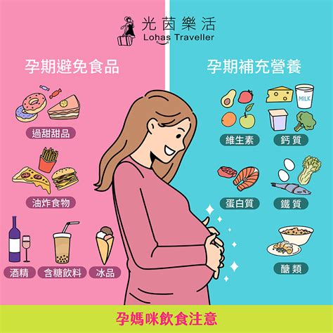燕子幾月來台灣 孕婦禁忌食物表